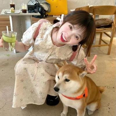 赛狗奇缘